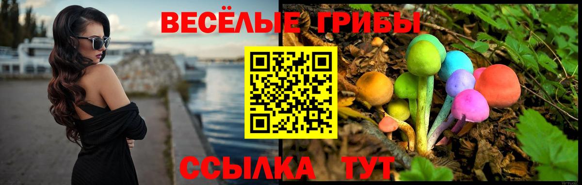 Псилоцибиновые грибы мухоморы Ленинск-Кузнецкий